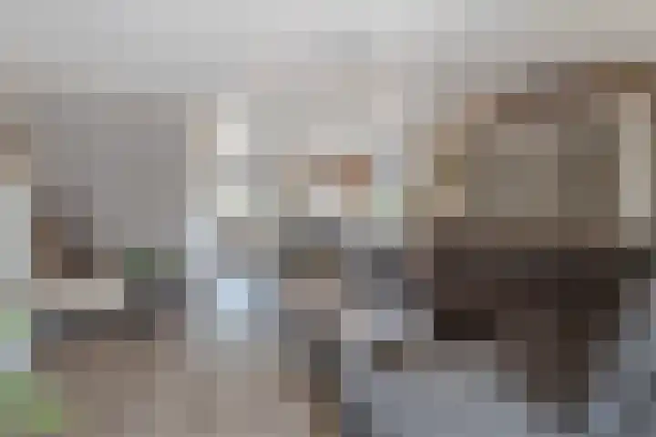 Bladriet 1 Werkendam thumbnail 17