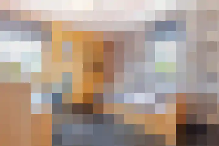 Bladriet 1 Werkendam thumbnail 24