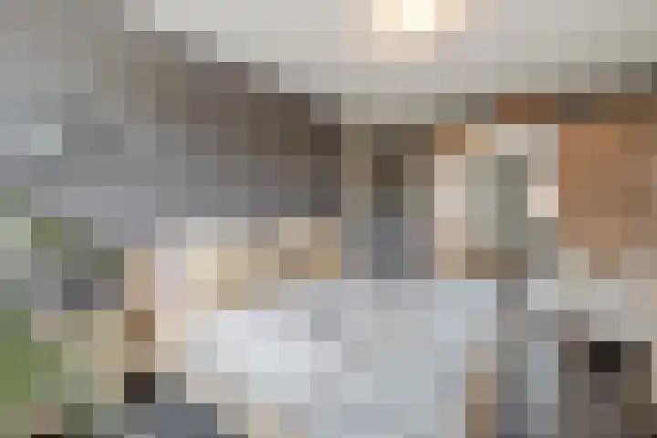 Bladriet 1 Werkendam thumbnail 27