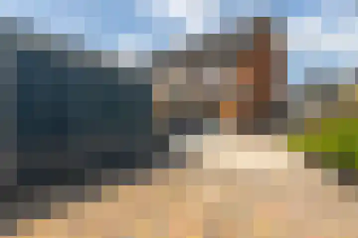 Bladriet 1 Werkendam thumbnail 33