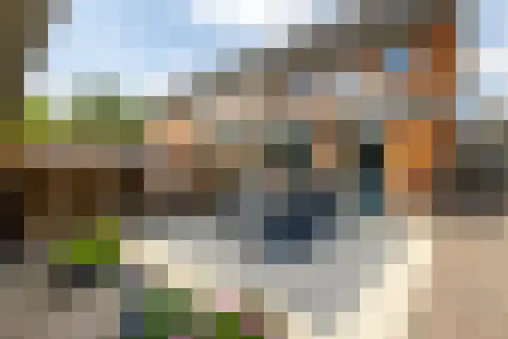Bladriet 1 Werkendam thumbnail 34
