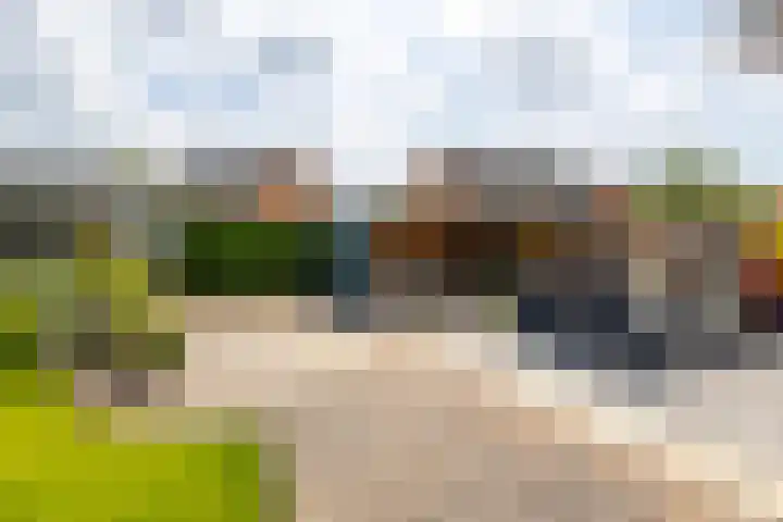 Bladriet 1 Werkendam thumbnail 39