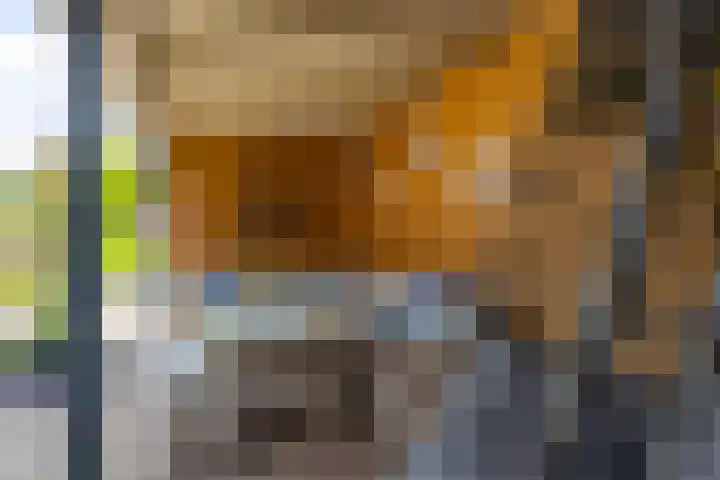 Bladriet 1 Werkendam thumbnail 40
