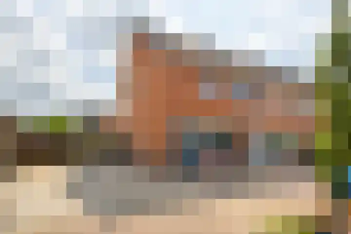 Bladriet 1 Werkendam thumbnail 6