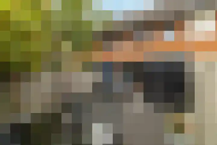 Bladriet 11 Werkendam thumbnail 31
