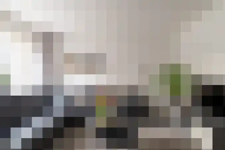 Bladriet 11 Werkendam thumbnail 7