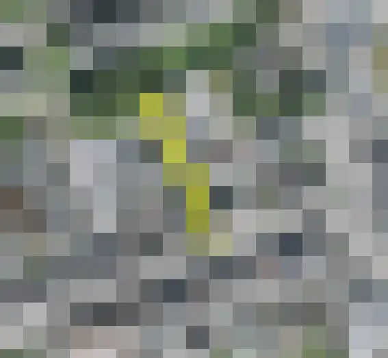 Bladvlinder 5 Oss thumbnail 14