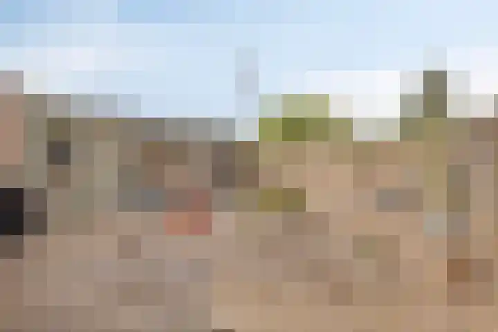 Bladvlinder 5 Oss thumbnail 27
