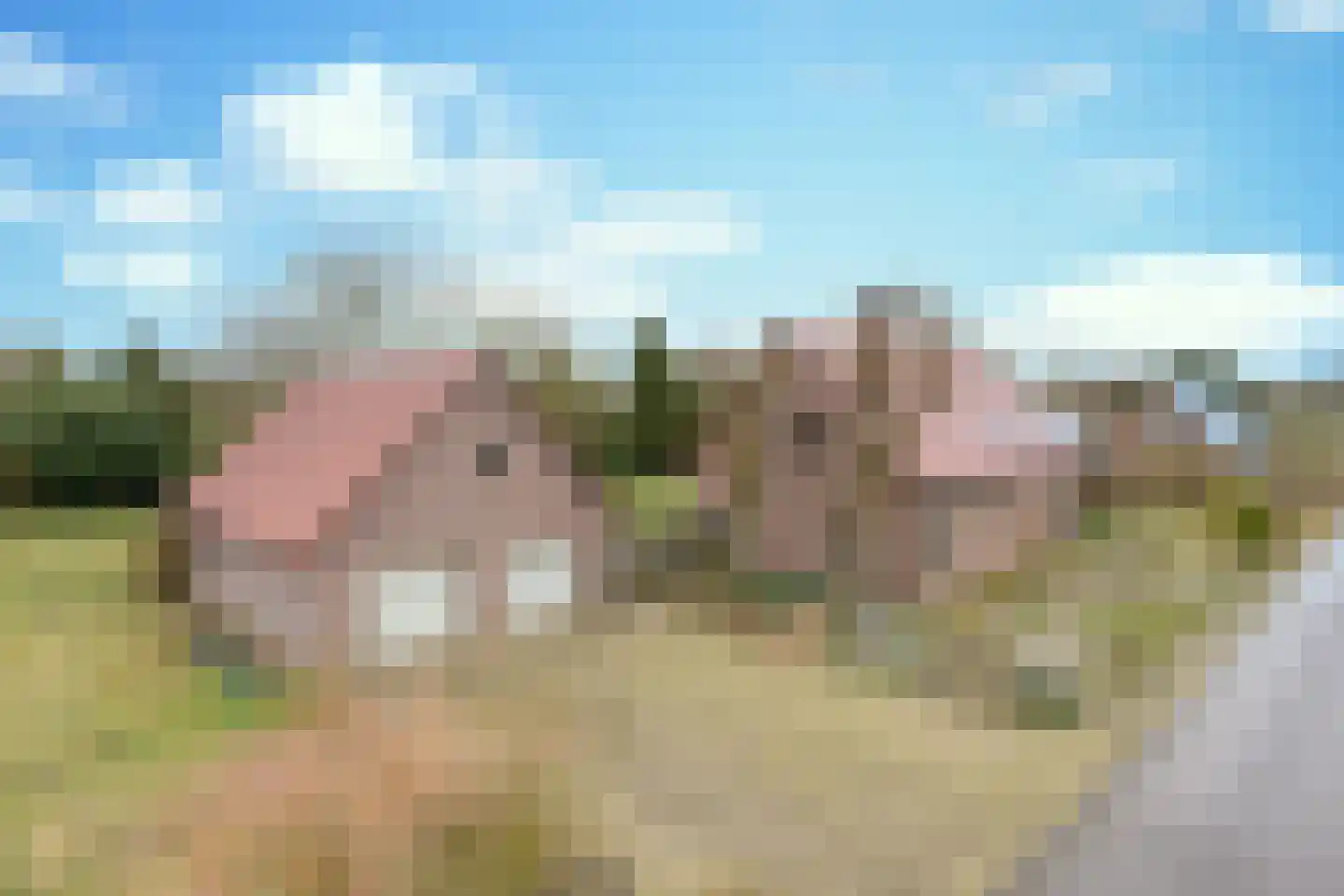 Bladvlinder 5 Oss thumbnail 4