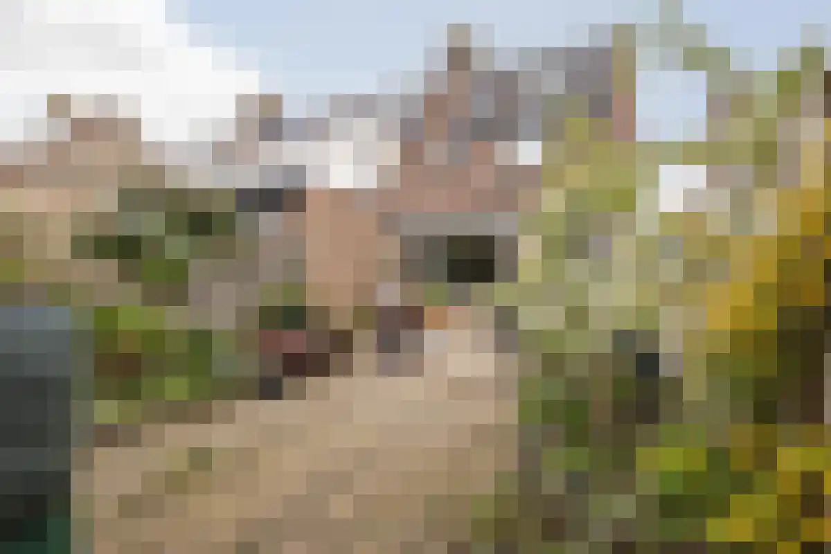 Blaer 18 in Koedijk
