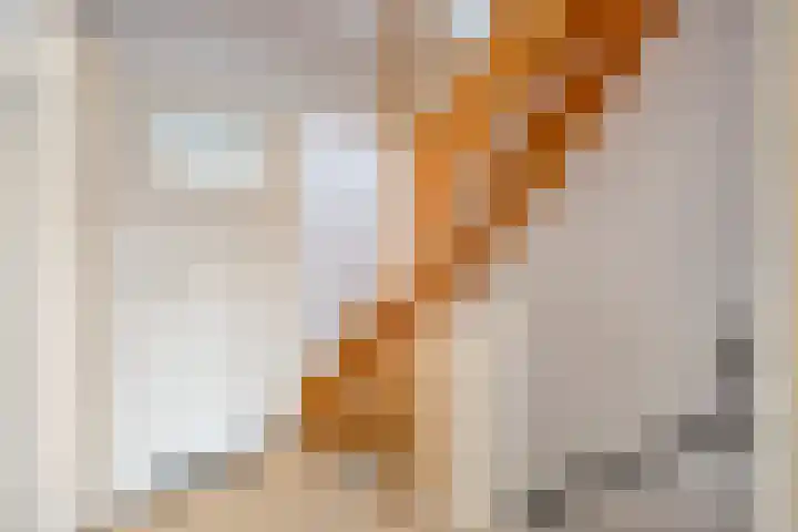 Blaeustraat 7 Alkmaar thumbnail 20