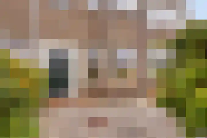 Blaeustraat 7 Alkmaar thumbnail 29