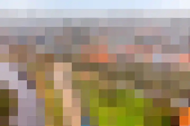 Blaeustraat 7 Alkmaar thumbnail 31