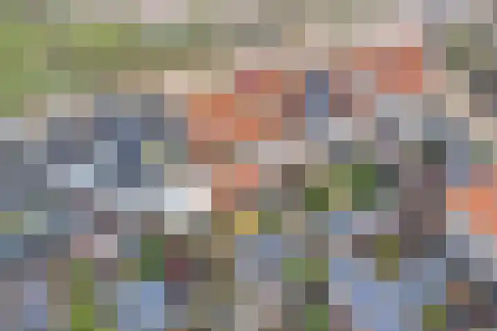 Blaeustraat 7 Alkmaar thumbnail 33