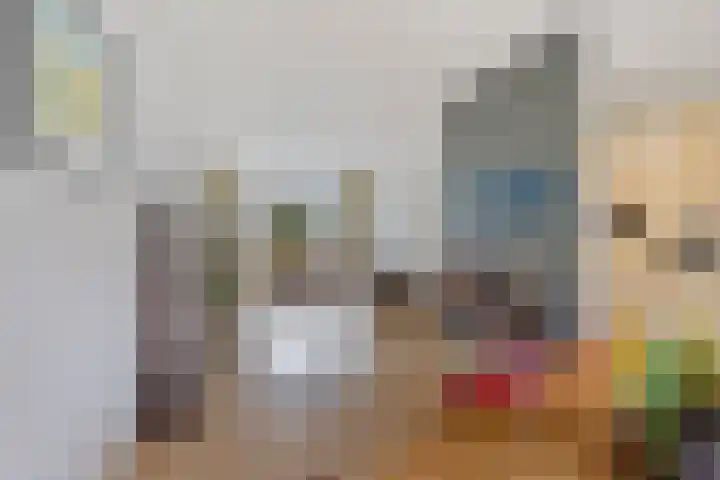 Blaeustraat 7 Alkmaar thumbnail 7