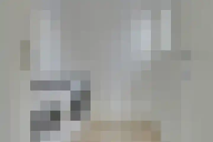 Blanckstraat 9 Goes thumbnail 16