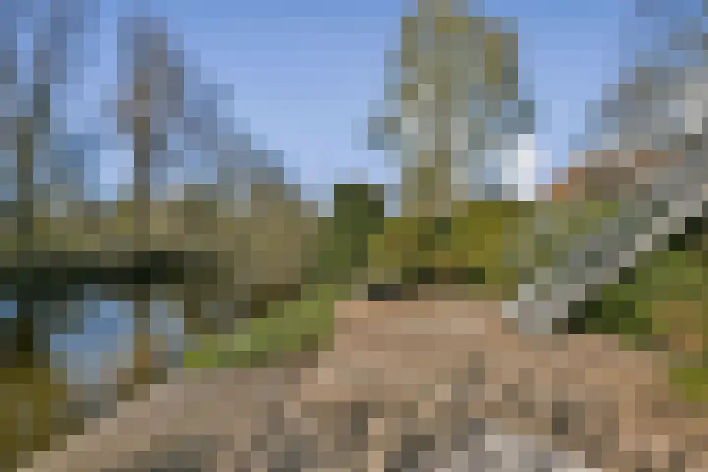 Blankenbergestraat 18 Amsterdam thumbnail 15