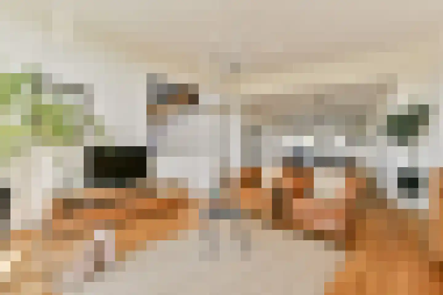 Blankenbergestraat 18 Amsterdam thumbnail 9