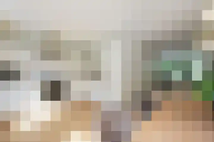 Blankenburg 4 Wormer thumbnail 13