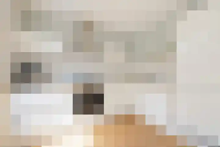 Blankenburg 4 Wormer thumbnail 14