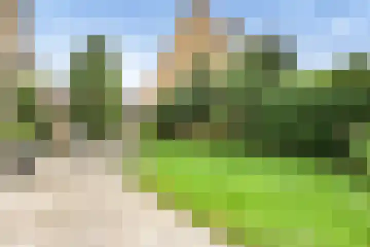 Blankenburg 4 Wormer thumbnail 15