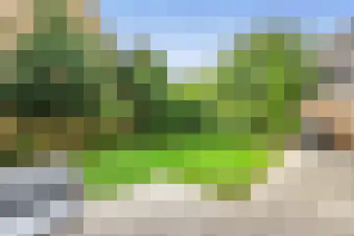 Blankenburg 4 Wormer thumbnail 17