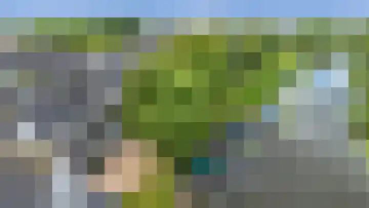 Blankenburg 4 Wormer foto 2