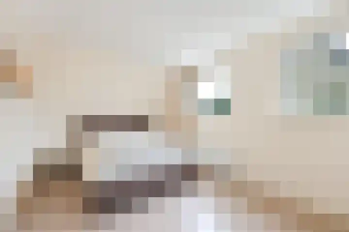 Blankenburg 4 Wormer thumbnail 22