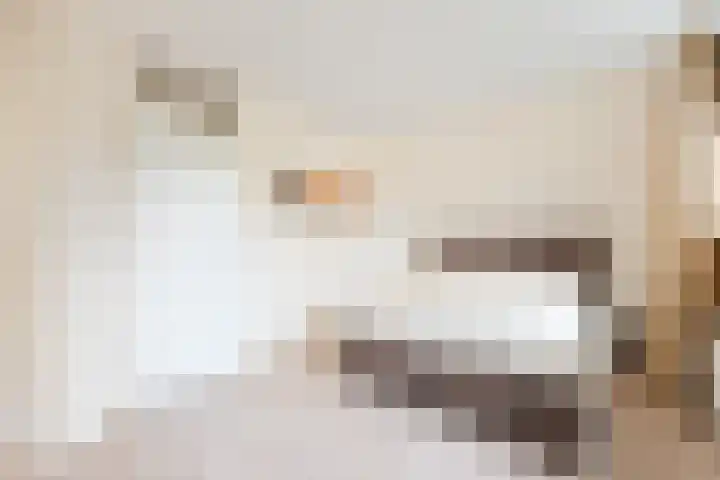 Blankenburg 4 Wormer thumbnail 23