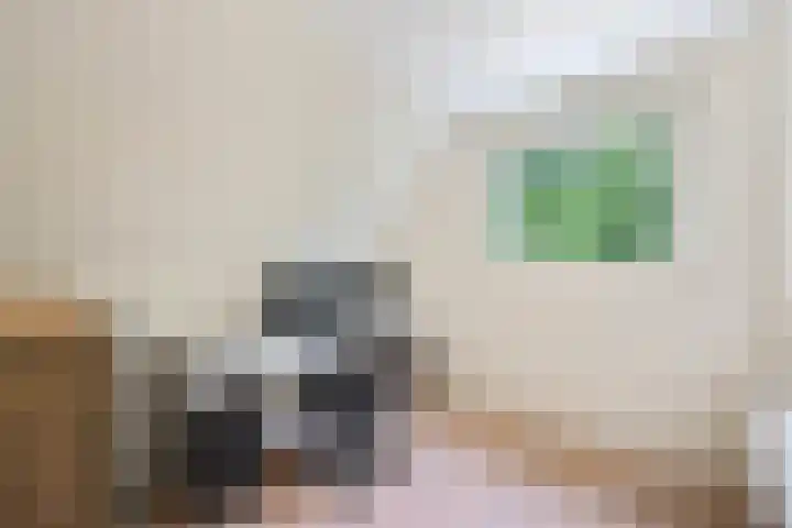 Blankenburg 4 Wormer thumbnail 29