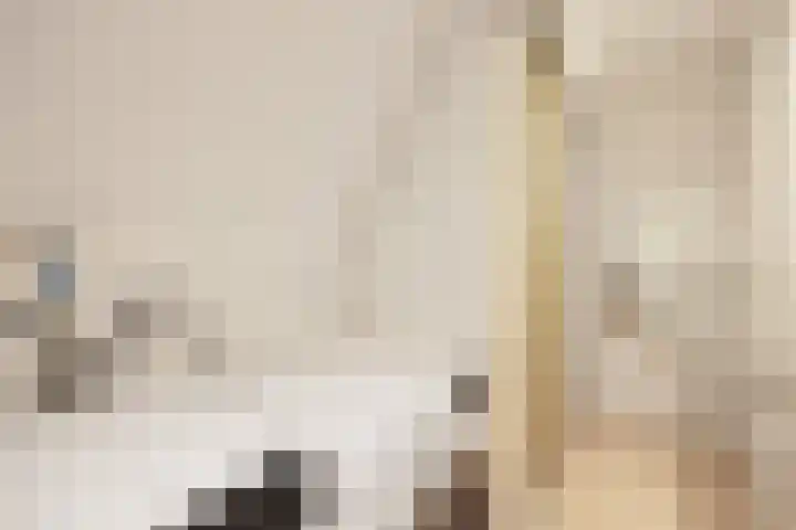 Blankenburg 4 Wormer thumbnail 37