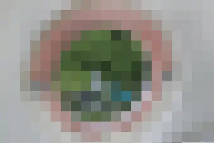 Blankenburg 4 Wormer thumbnail 44
