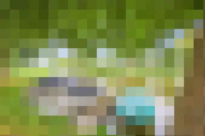 Blankenburg 4 Wormer thumbnail 45