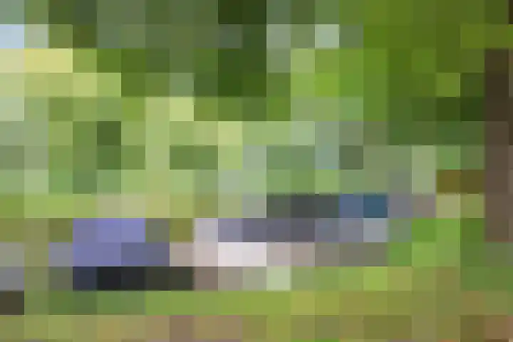 Blankenburg 4 Wormer thumbnail 46