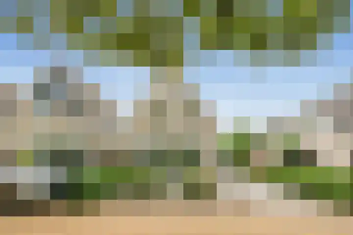 Blankenburg 4 Wormer thumbnail 49