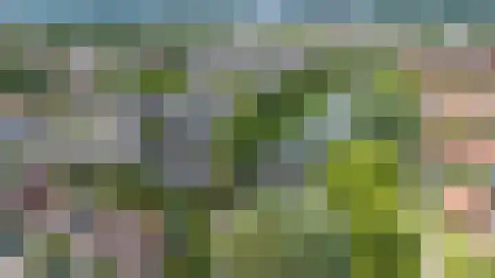 Blankenburg 4 Wormer thumbnail 51