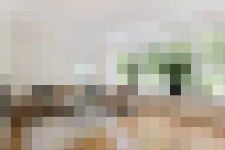 Blankenburg 4 Wormer thumbnail 6