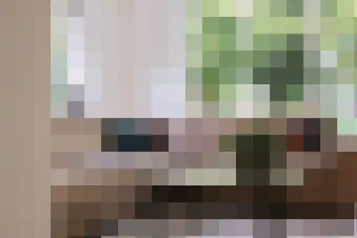 Blankenburg 4 Wormer thumbnail 7