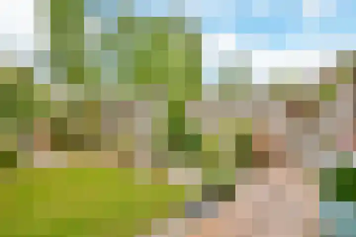 Blankenstraat 38 Hoofddorp thumbnail 25