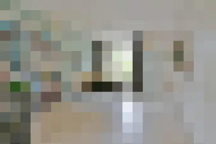 Blankenstraat 38 Hoofddorp thumbnail 9