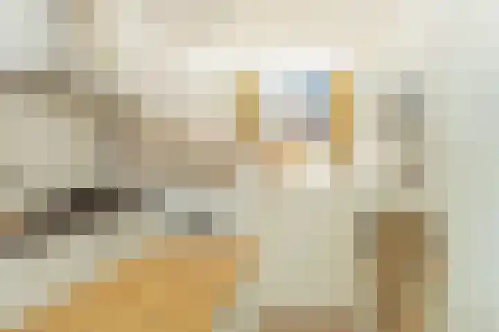 Blankenstraat 93 B Amsterdam thumbnail 8
