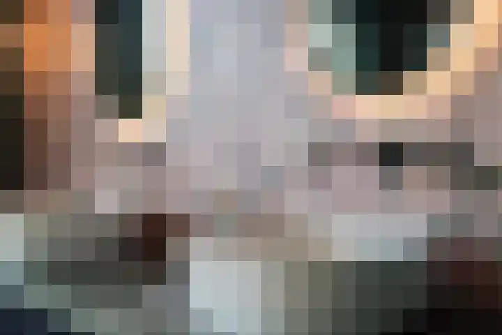 Blasiuslaan 8 Almelo thumbnail 29