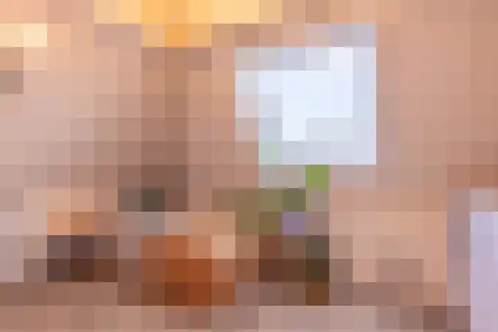 Blasiuslaan 8 Almelo thumbnail 32