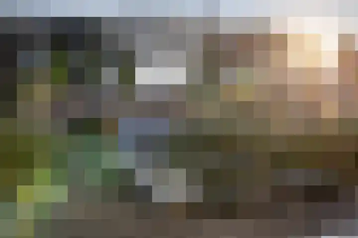 Blasiuslaan 8 Almelo thumbnail 38