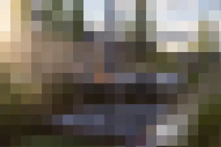 Blasiuslaan 8 Almelo thumbnail 40