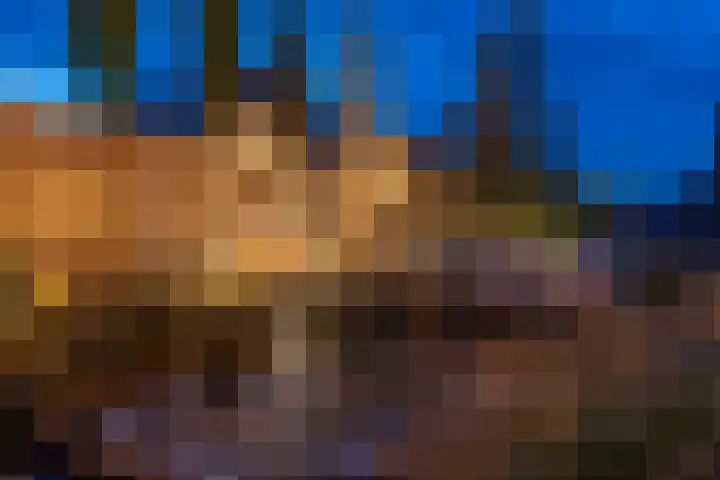 Blasiuslaan 8 Almelo thumbnail 43