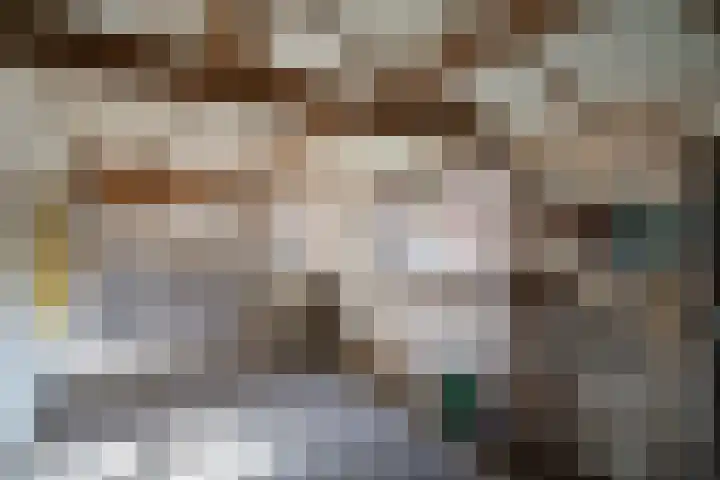 Blasiusstraat 10 a Deurne thumbnail 35