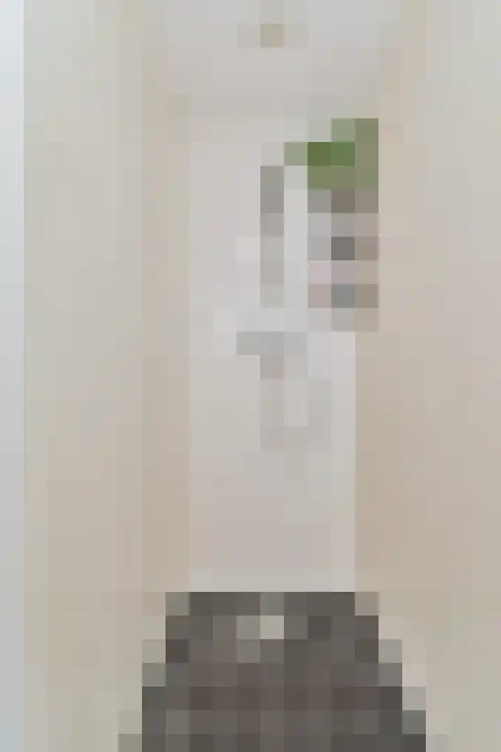 Blasiusstraat 100 A Amsterdam thumbnail 22