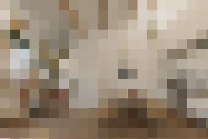Blasiusstraat 32 3 Amsterdam thumbnail 8
