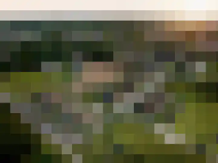 Blauw Campen 21 Sint Anthonis thumbnail 6